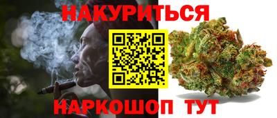 скорость Бердск