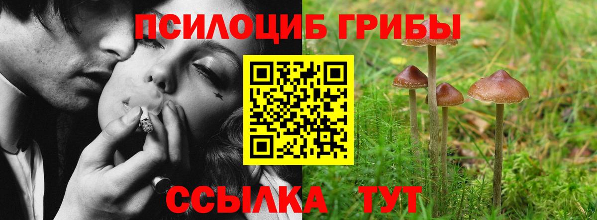 Галлюциногенные грибы GOLDEN TEACHER Петровск
