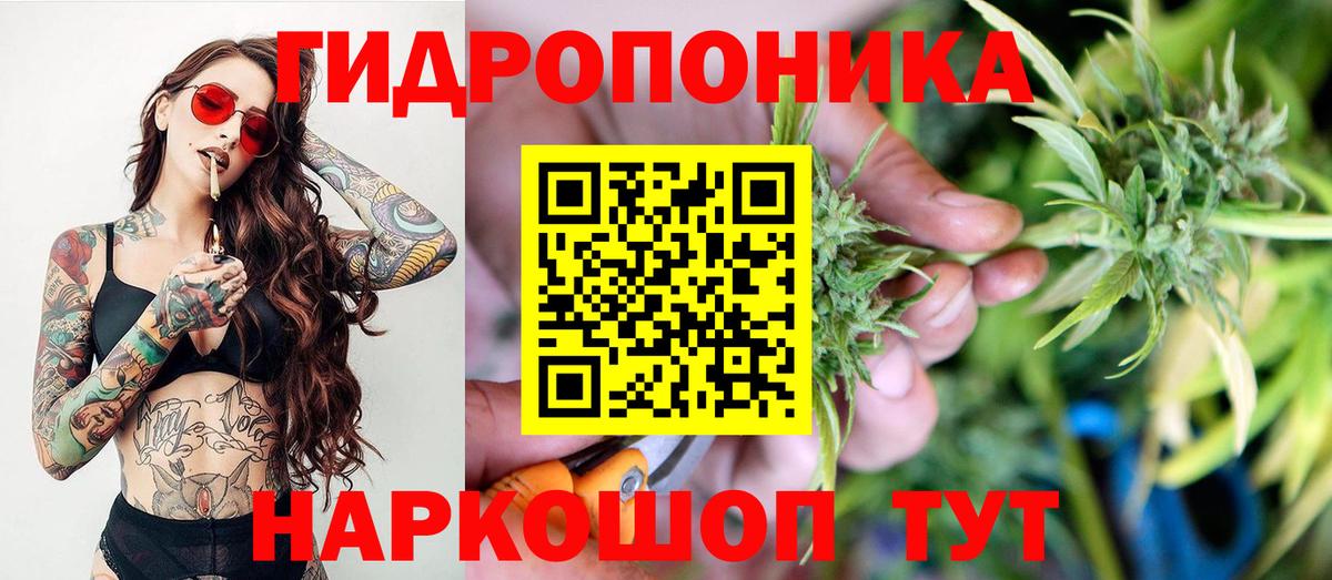 Марихуана конопля  Вход с VPN  Петровск  Шишки марихуана LSD WEED  Канабис планчик  Конопля Bruce Banner 